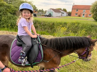 Little Hooves Pony Diaries: You Don’t Have to Own a Pony to Love One