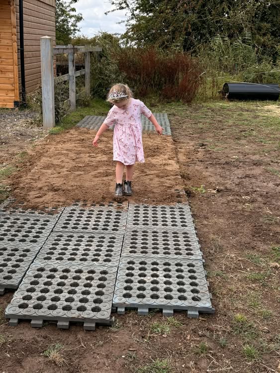 Little Hooves Pony Diaries - The Rain has Returned