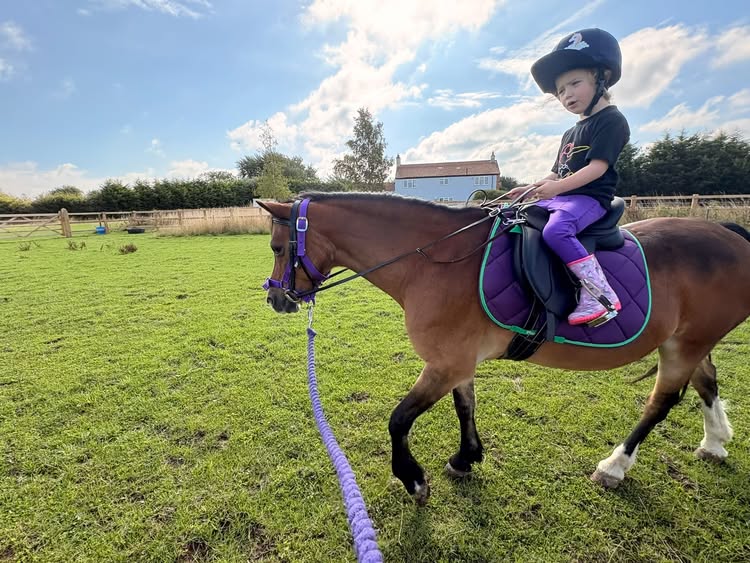 Little Hooves Pony Diaries - Fluffy Ponies