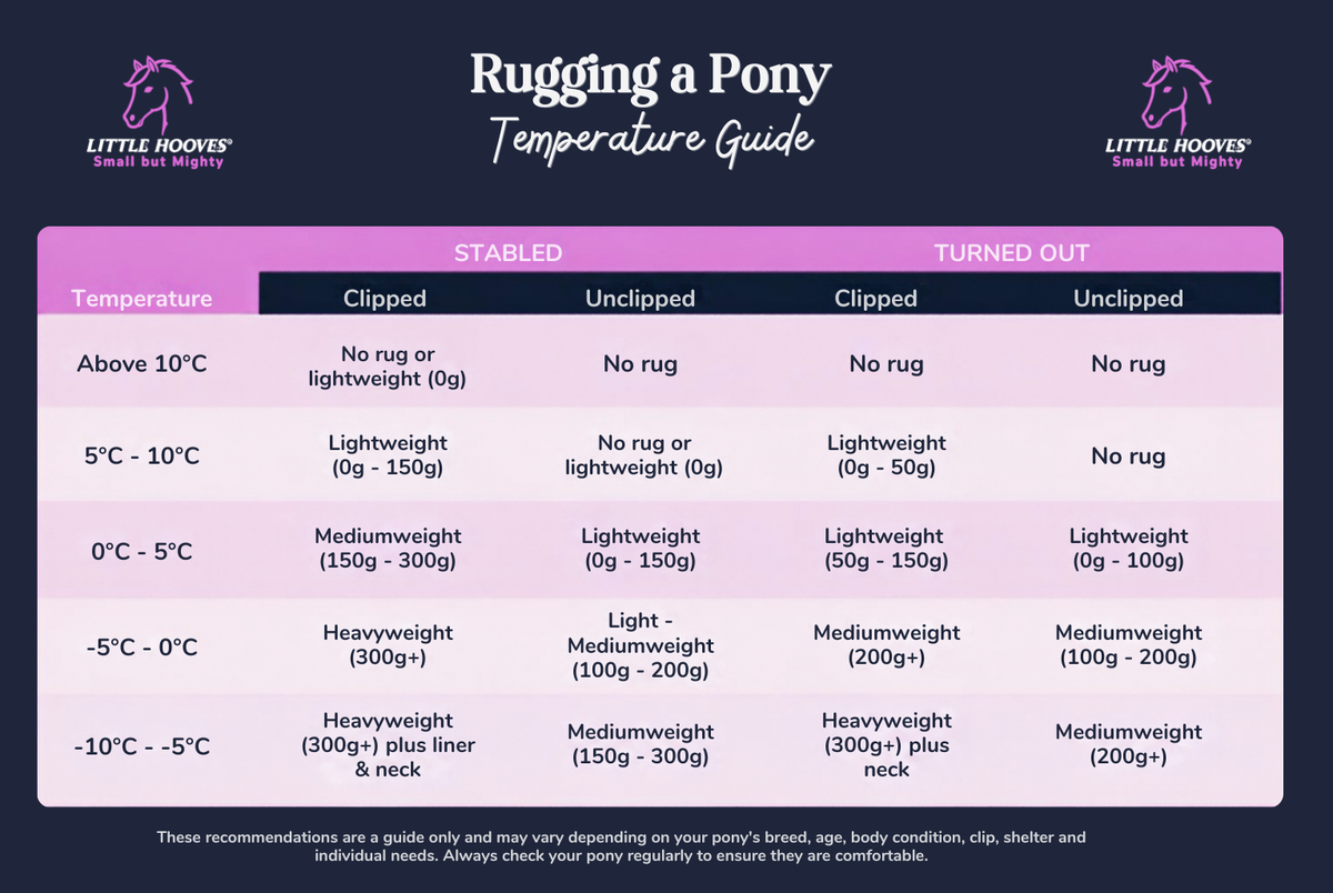 Little Hooves Pony Diaries – Choosing the Right Rug