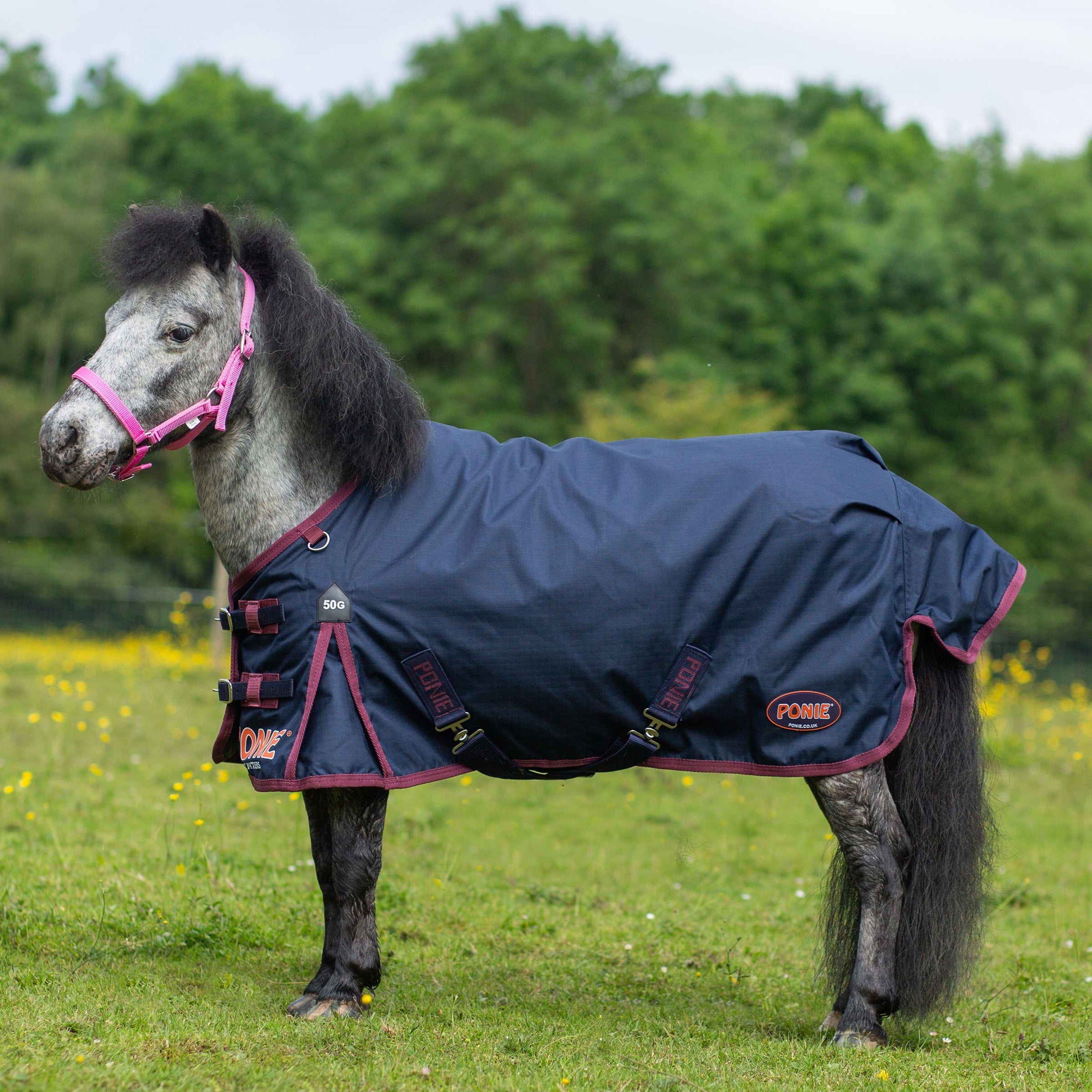 Pony Perfect Rugs
