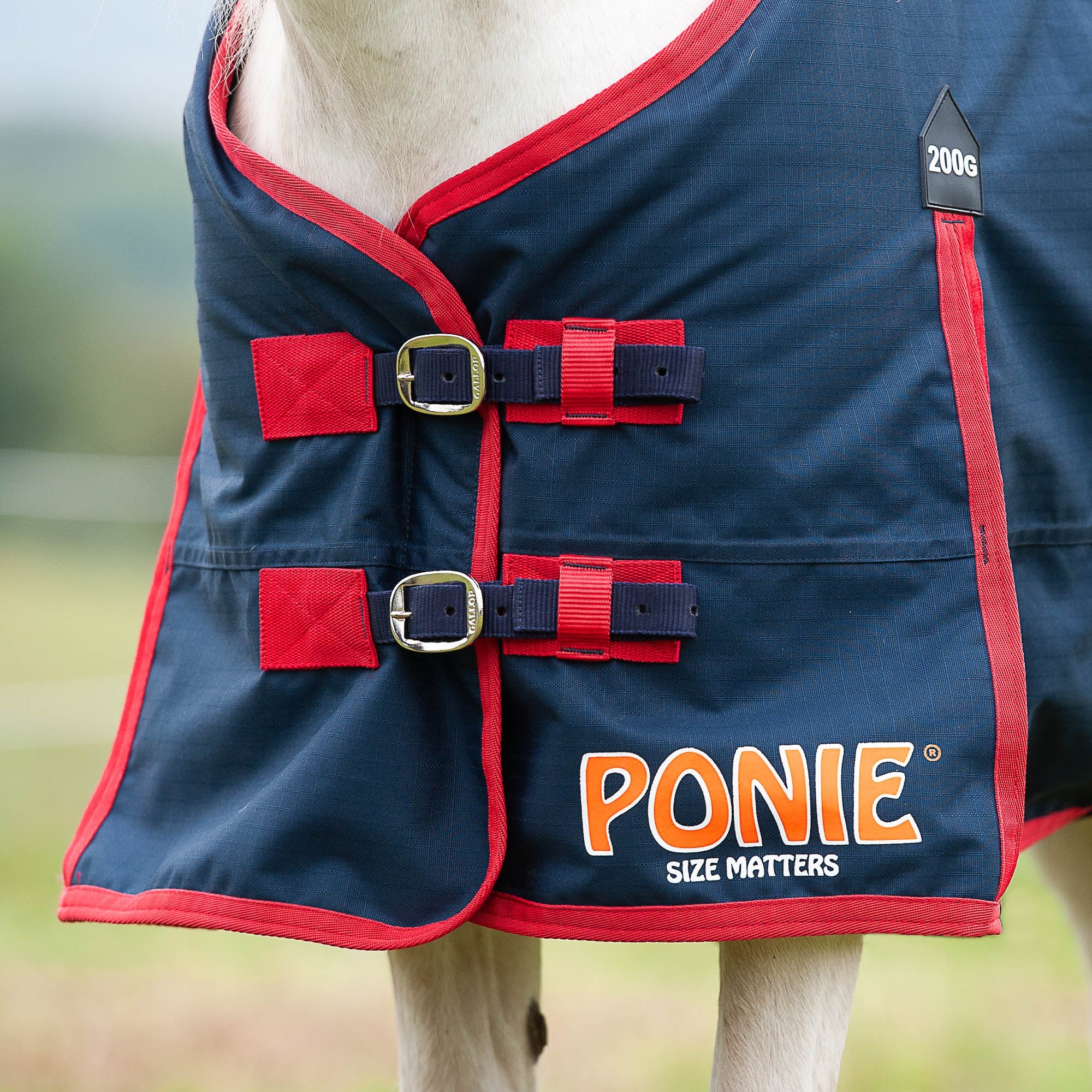 Gallop Ponie range