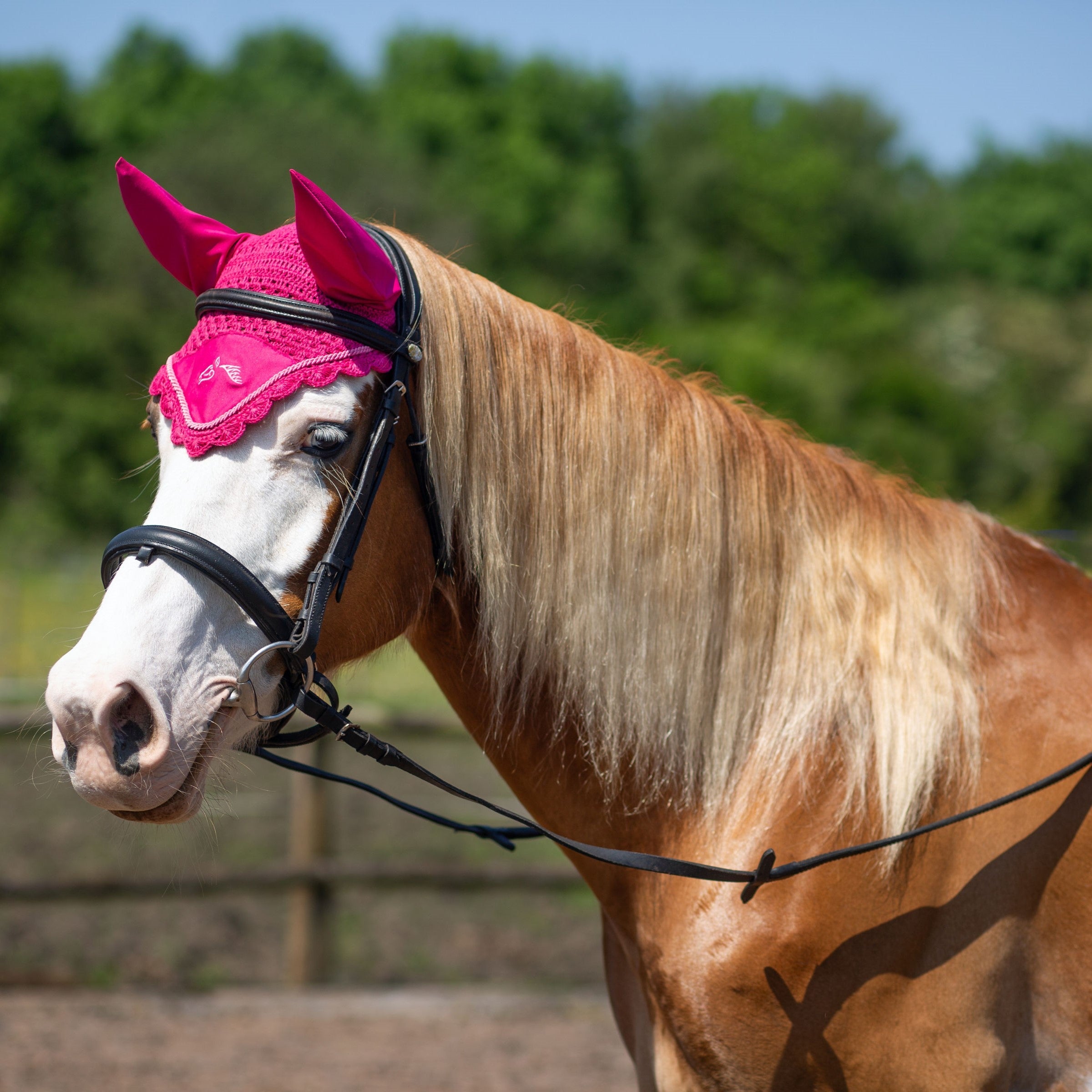 Fly Masks & Ear Veils