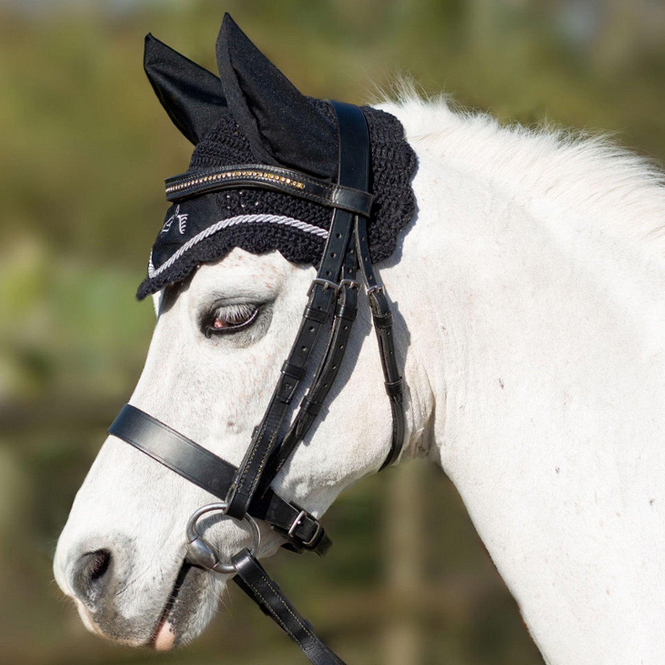 Pony Wear