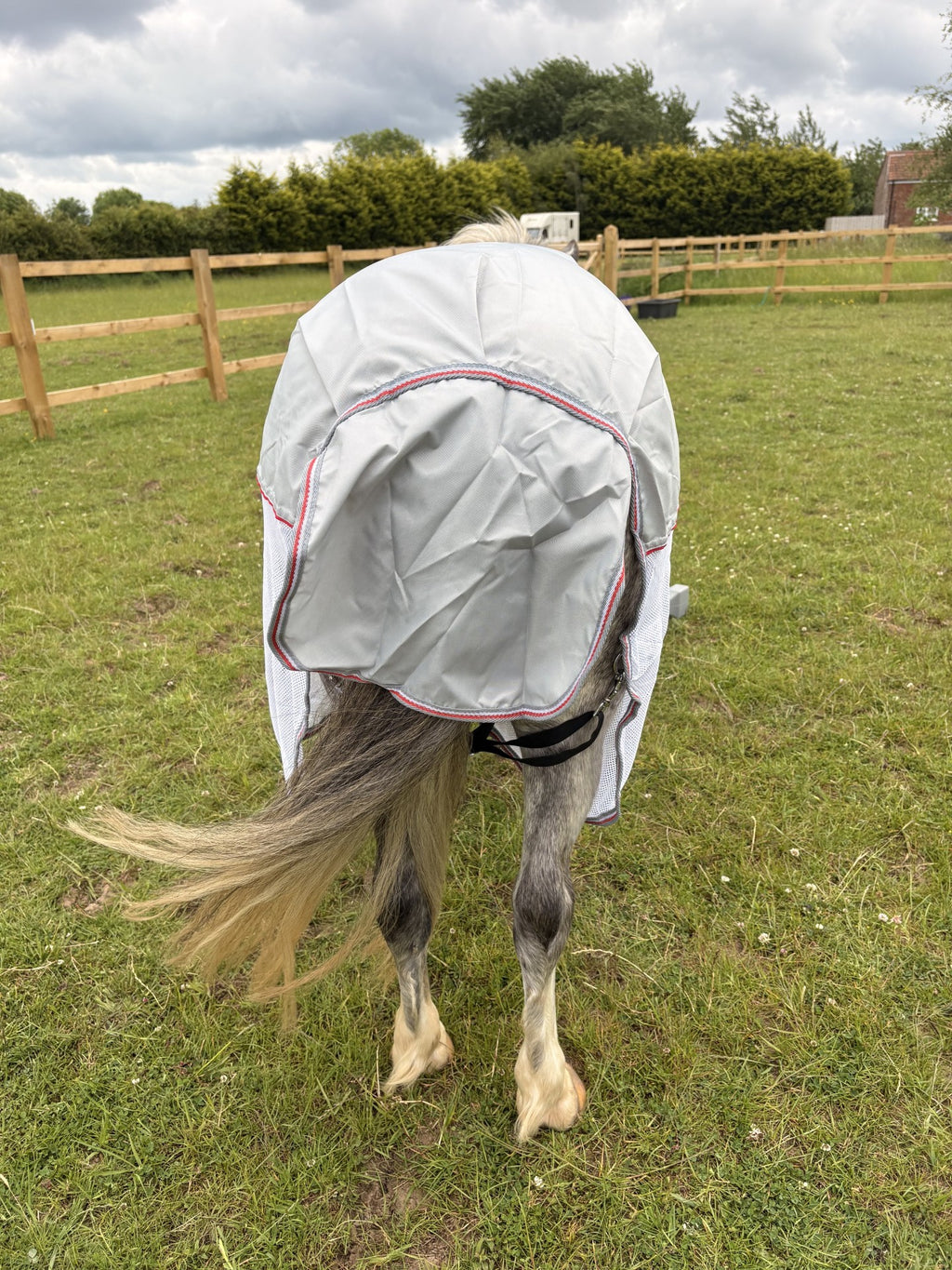 Rhinegold Mombasa Showerproof Topline Fly Rug With Detachable Neck Cover