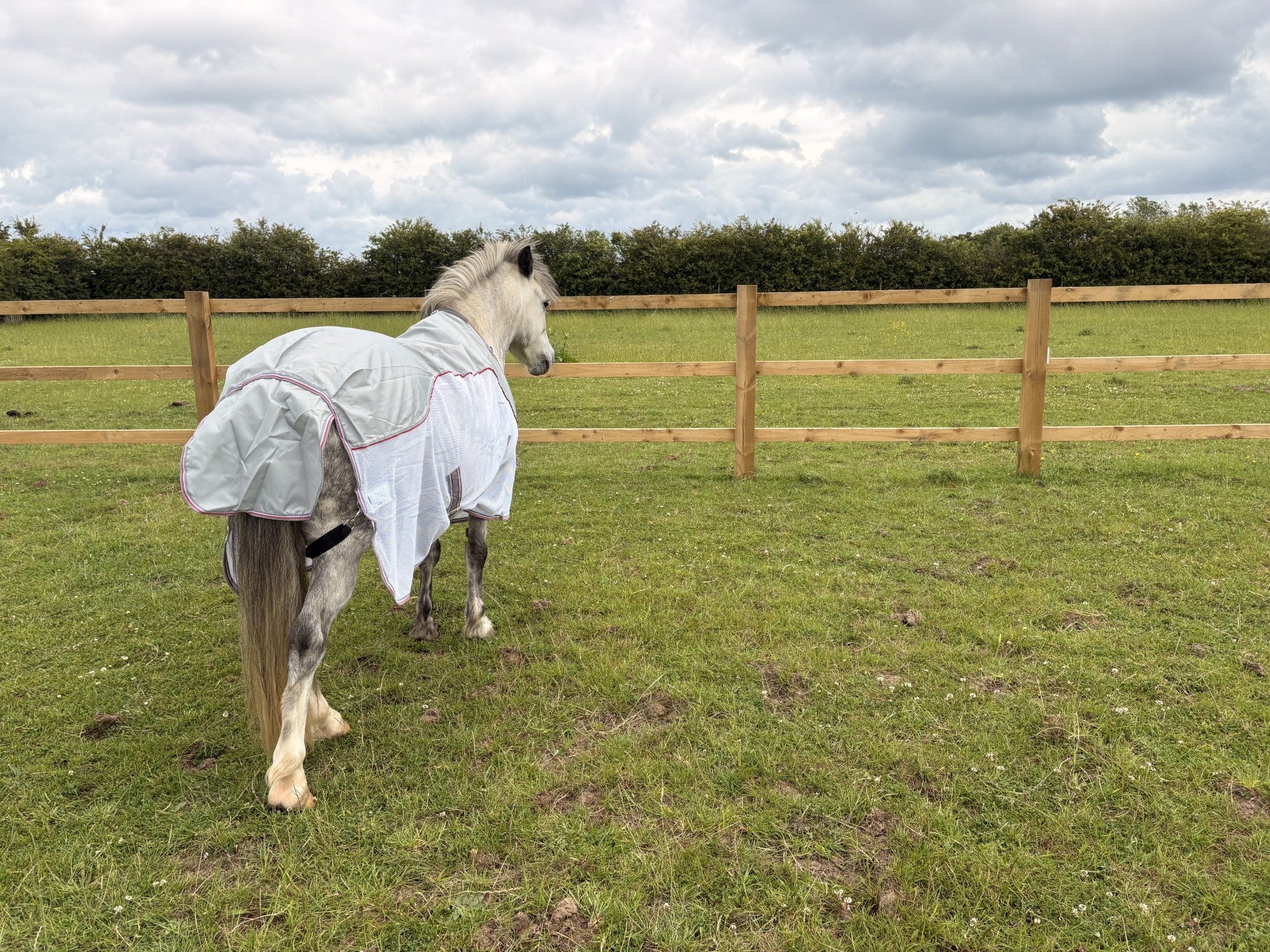 Rhinegold Mombasa Showerproof Topline Fly Rug With Detachable Neck Cover