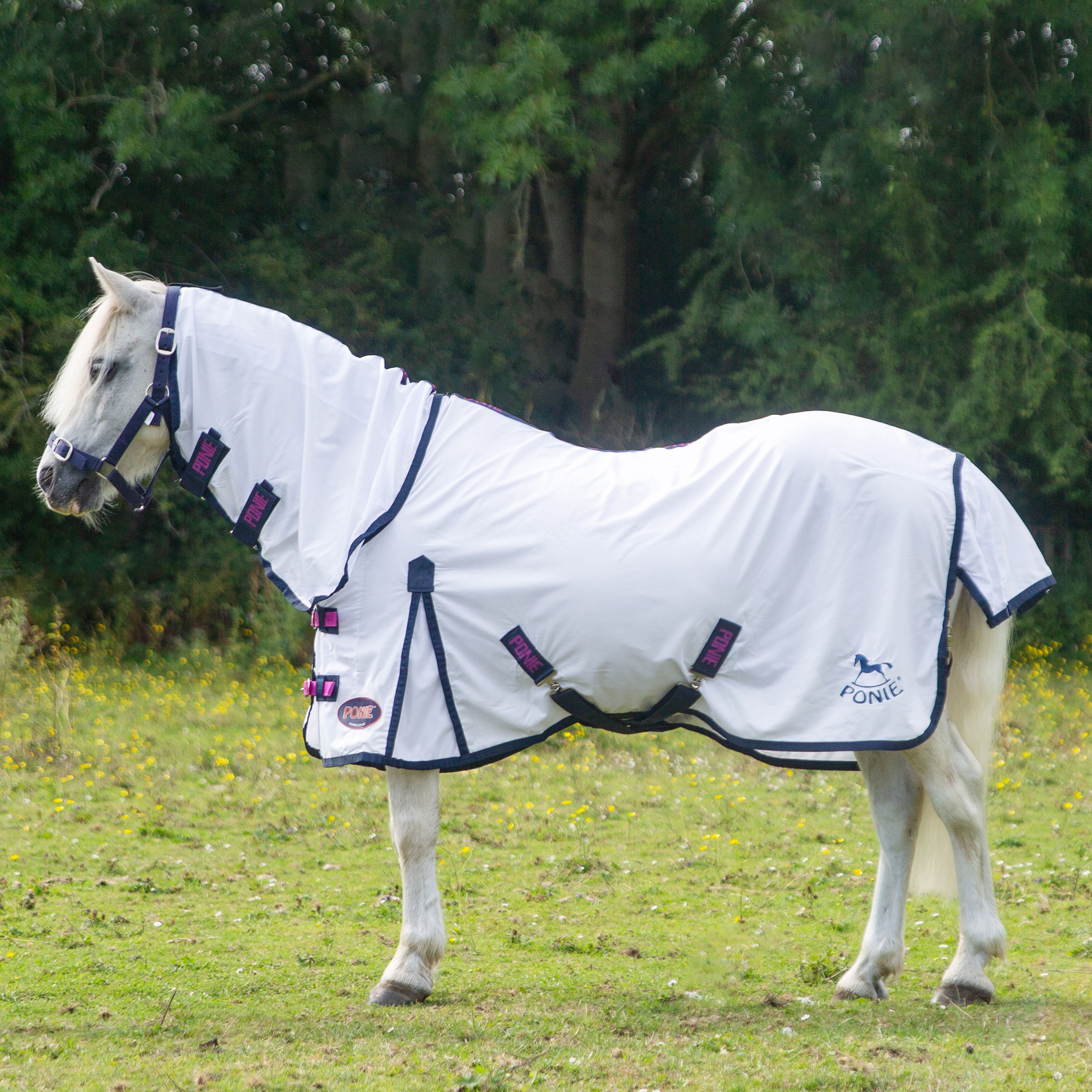 Ponie Essentials Combo Fly Rug
