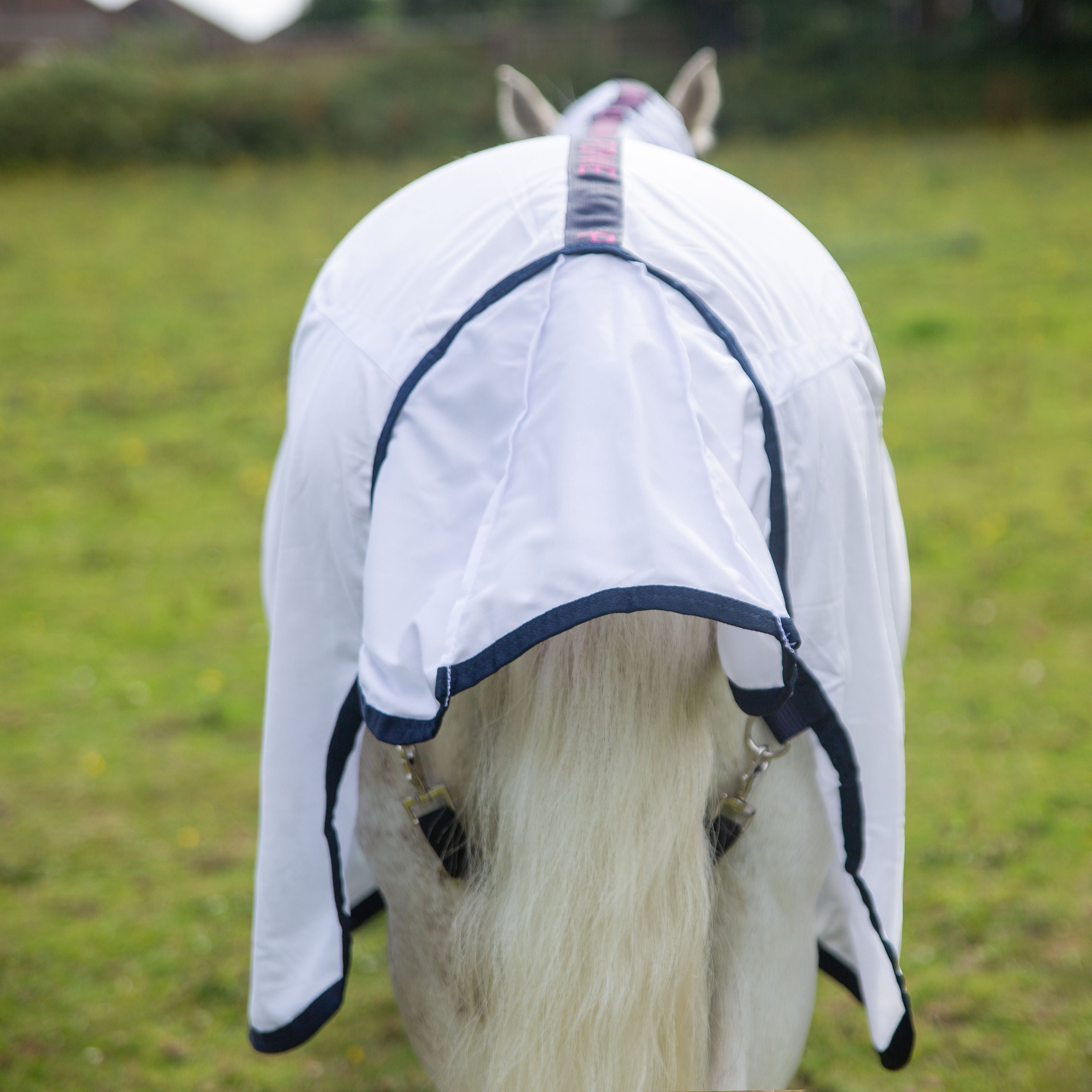 Ponie Essentials Combo Fly Rug