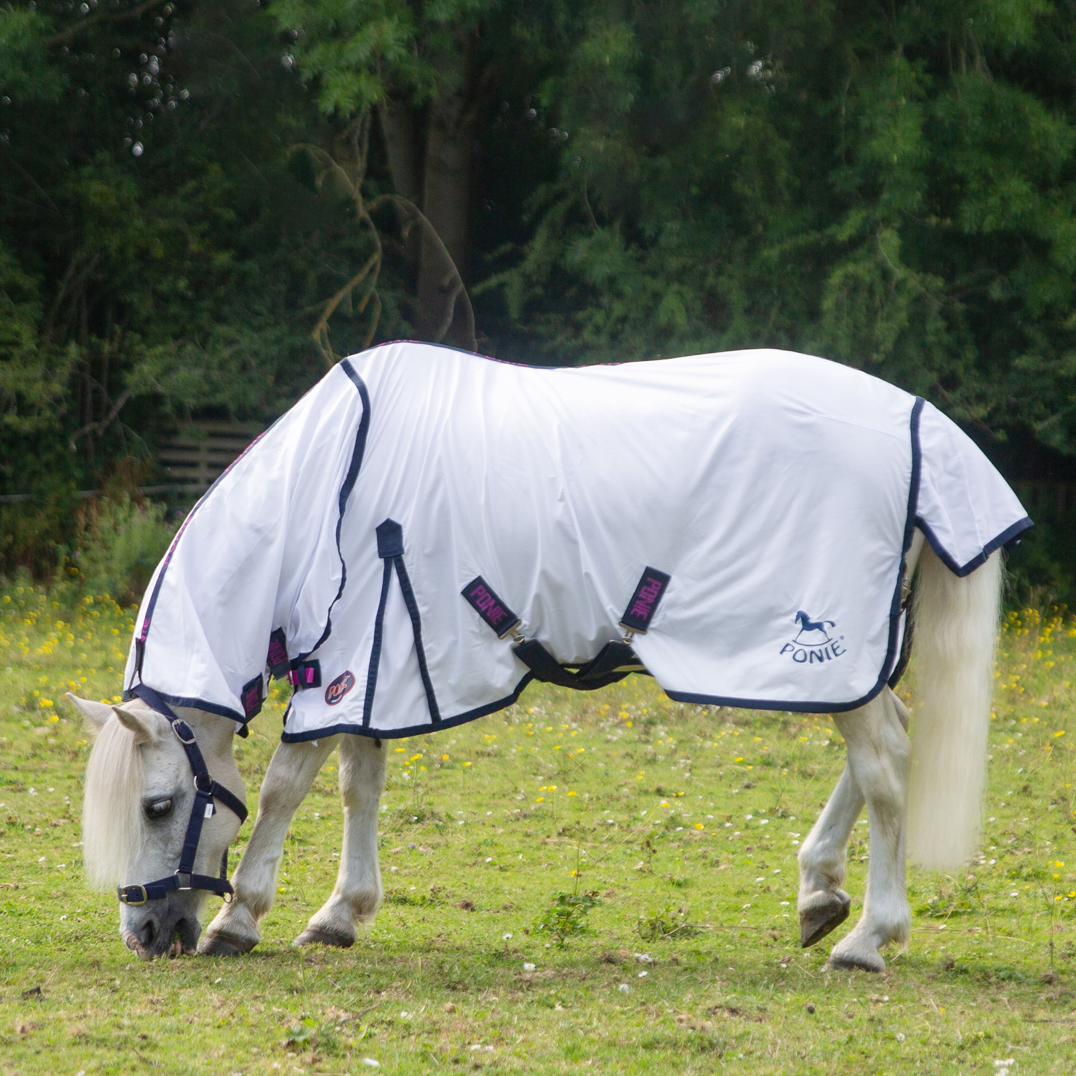 Ponie Essentials Combo Fly Rug