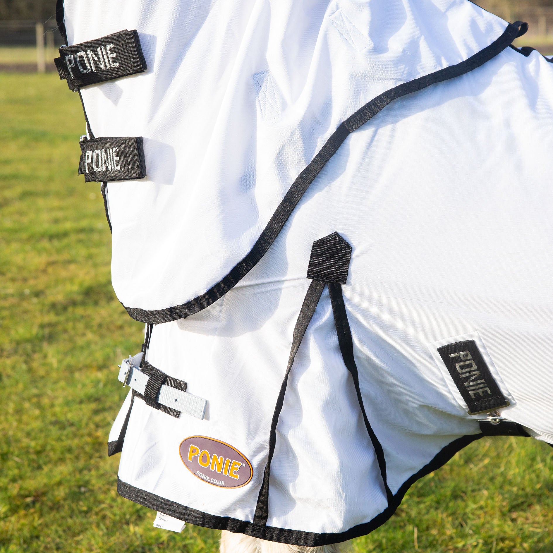 Ponie Dual 5-Point Fly Rug & Neck Set