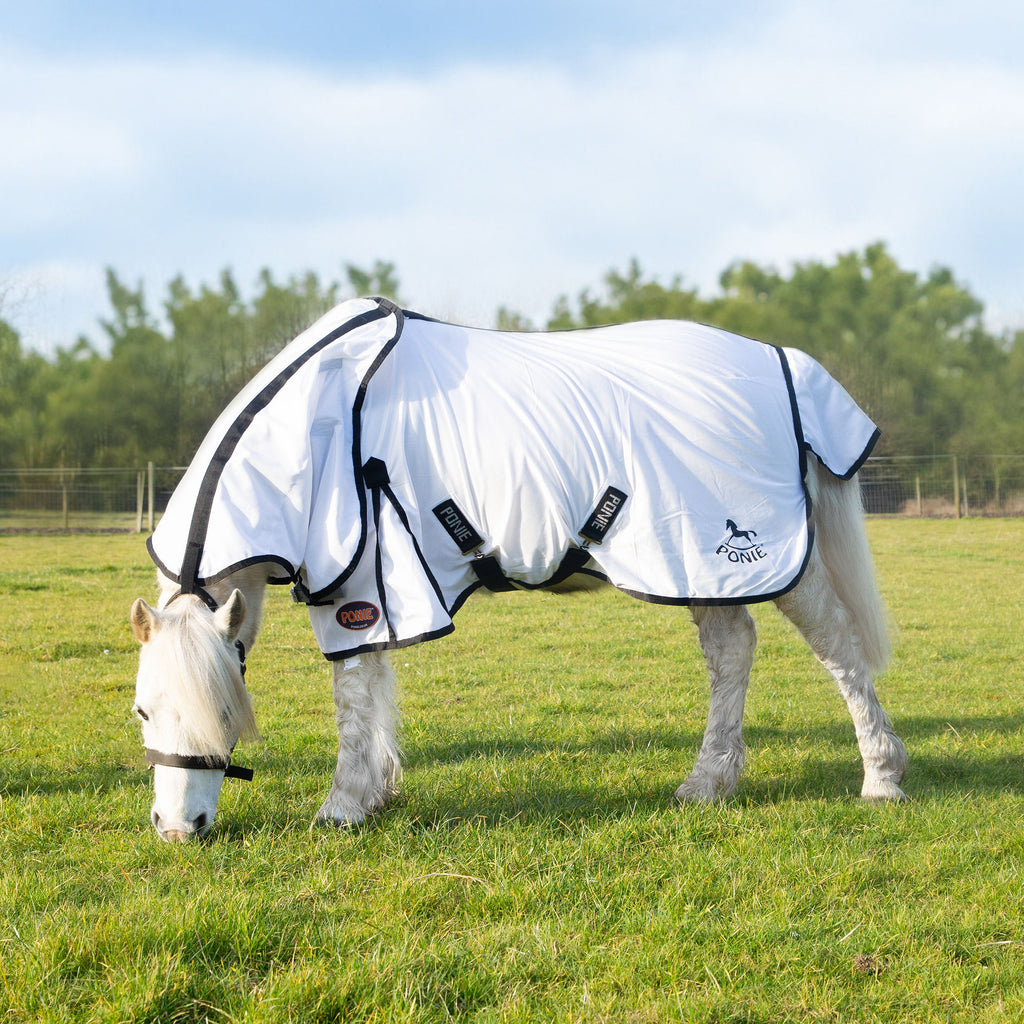 Ponie Dual 5-Point Fly Rug & Neck Set