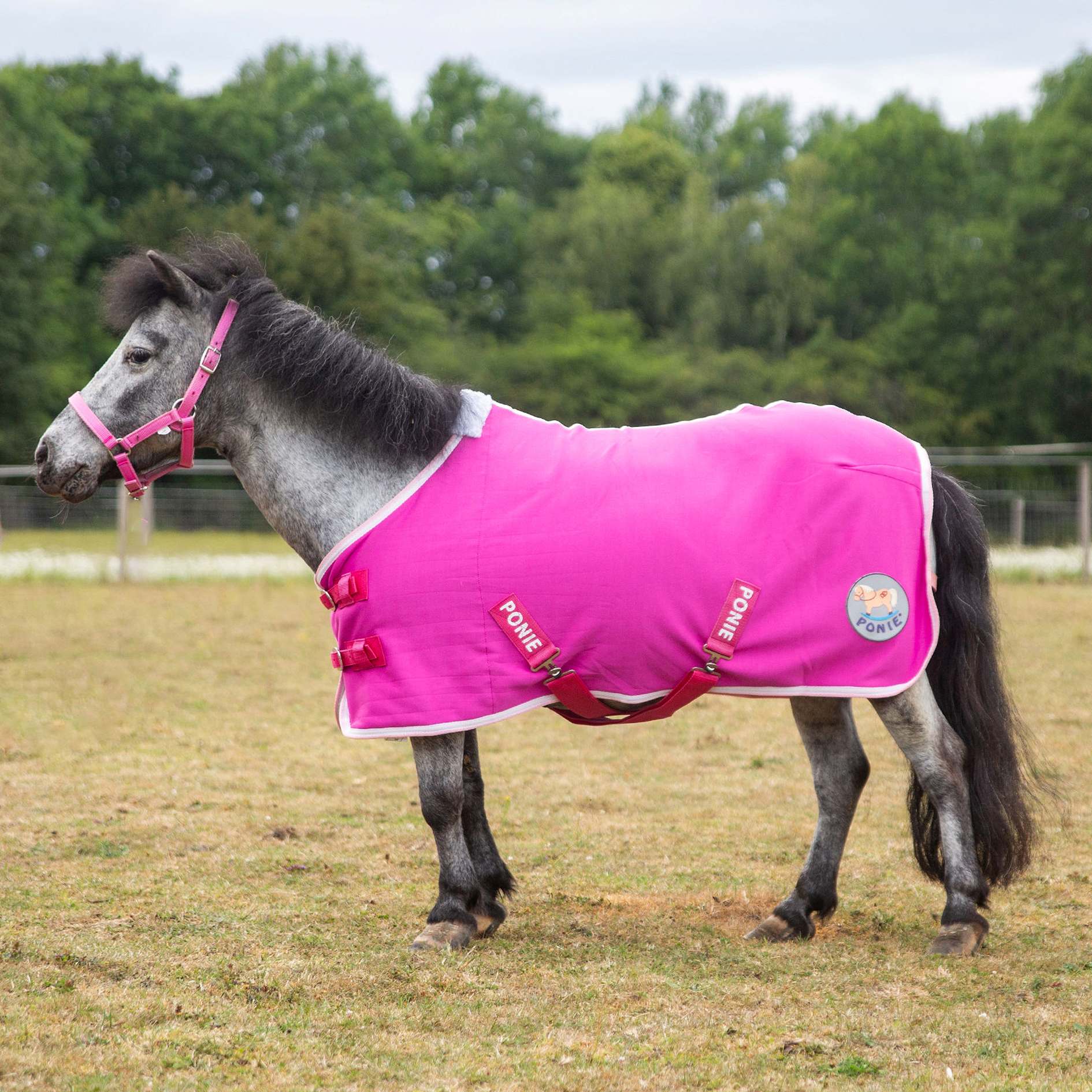 🩷 New Gallop Ponie 'Tiddlywinks' Bundle Standard - Pink Jersey cooler with free matching headcollar and lead rope 🩷