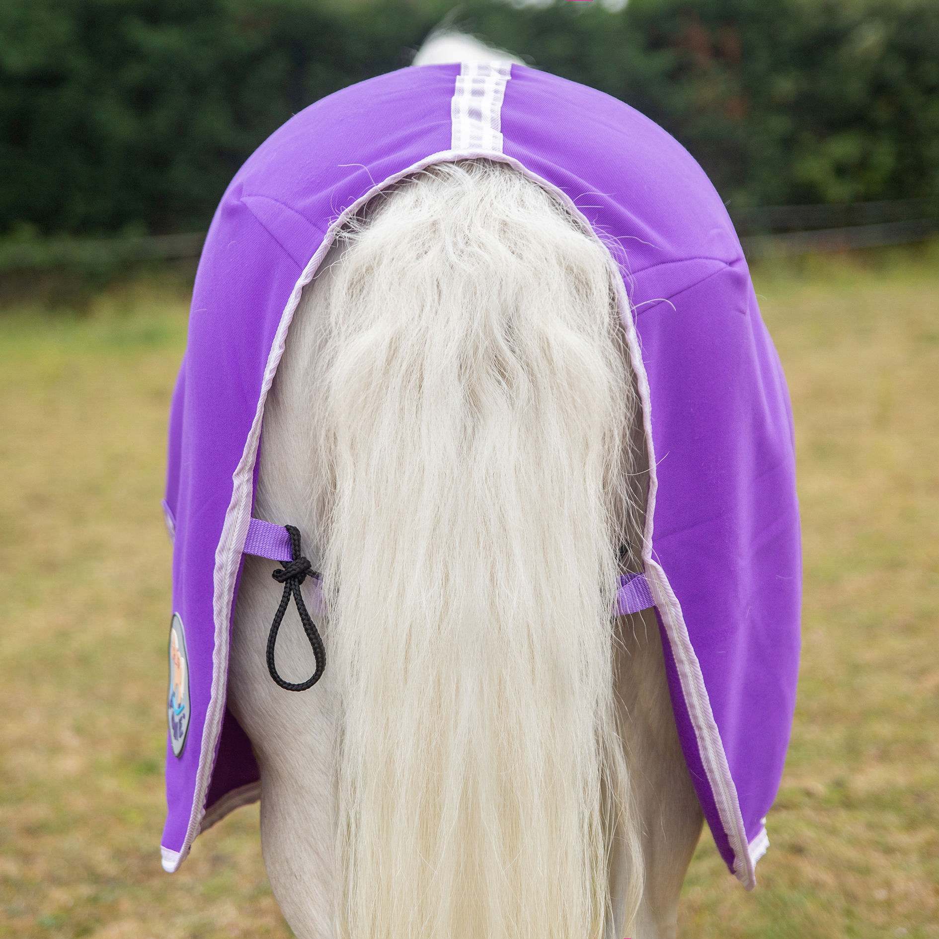🩷 New Gallop Ponie 'Tiddlywinks' Bundle Standard - Purple Jersey cooler with free matching headcollar and lead rope 🩷