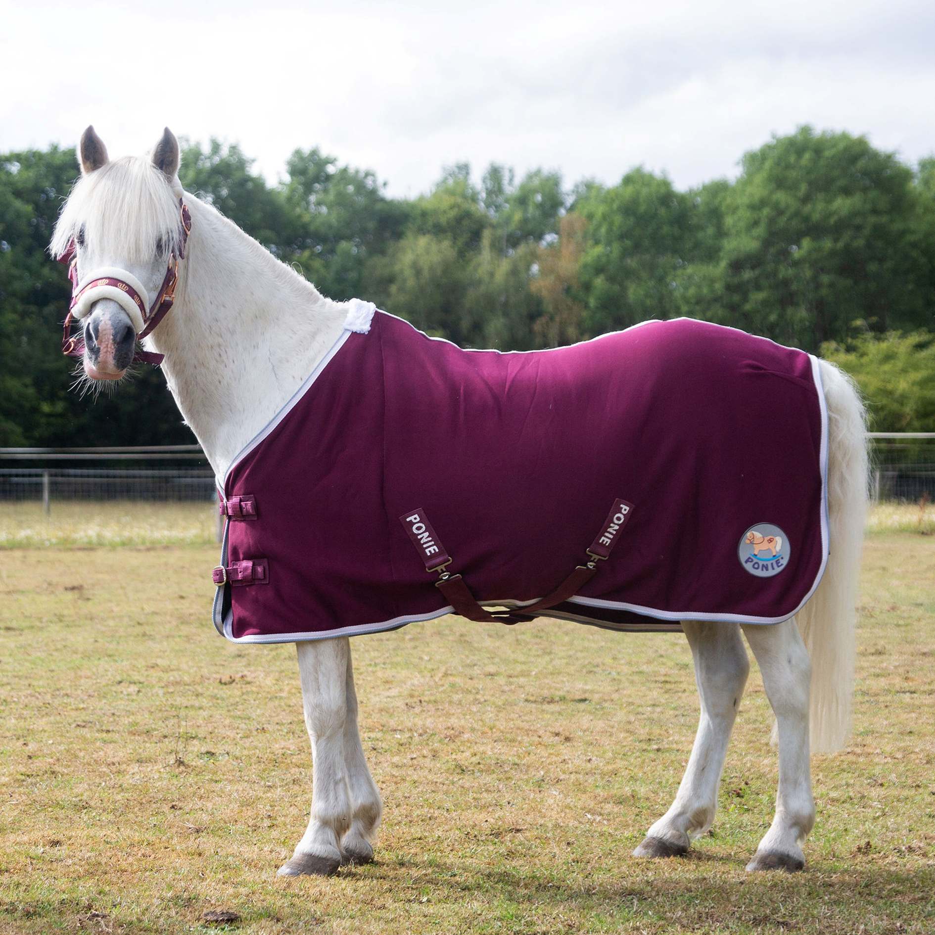 New Ponie Jersey Cooler Rug Burgundy