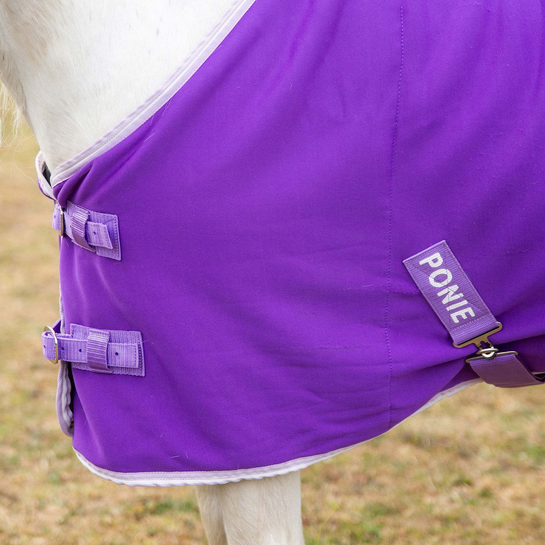 🩷 New Gallop Ponie 'Tiddlywinks' Bundle Standard - Purple Jersey cooler with free matching headcollar and lead rope 🩷
