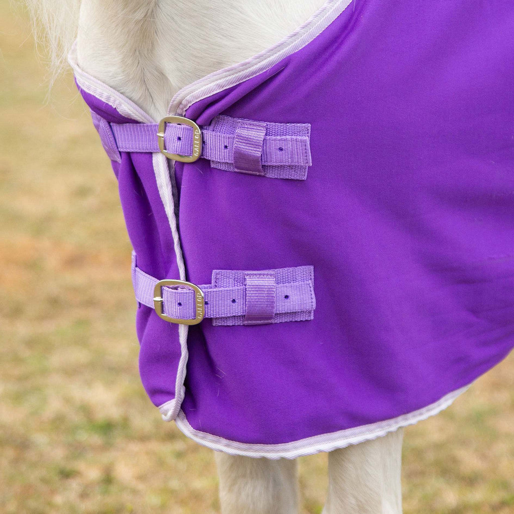 🩷 New Gallop Ponie 'Tiddlywinks' Bundle Standard - Purple Jersey cooler with free matching headcollar and lead rope 🩷
