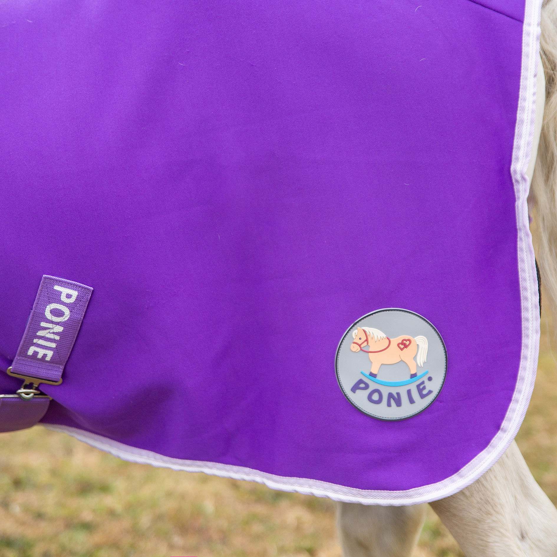 🩷 New Gallop Ponie 'Tiddlywinks' Bundle Standard - Purple Jersey cooler with free matching headcollar and lead rope 🩷