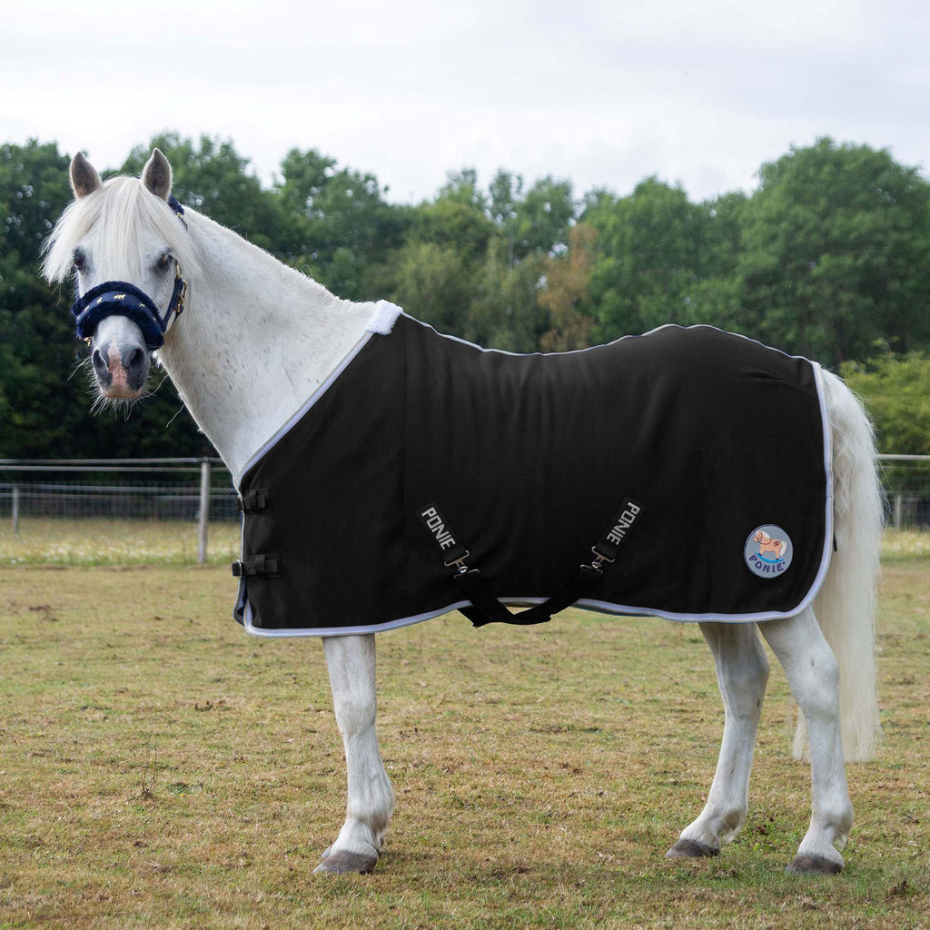 🩷 New Gallop Ponie 'Tiddlywinks' Bundle Standard - BlackJersey cooler with free matching headcollar and lead rope 🩷
