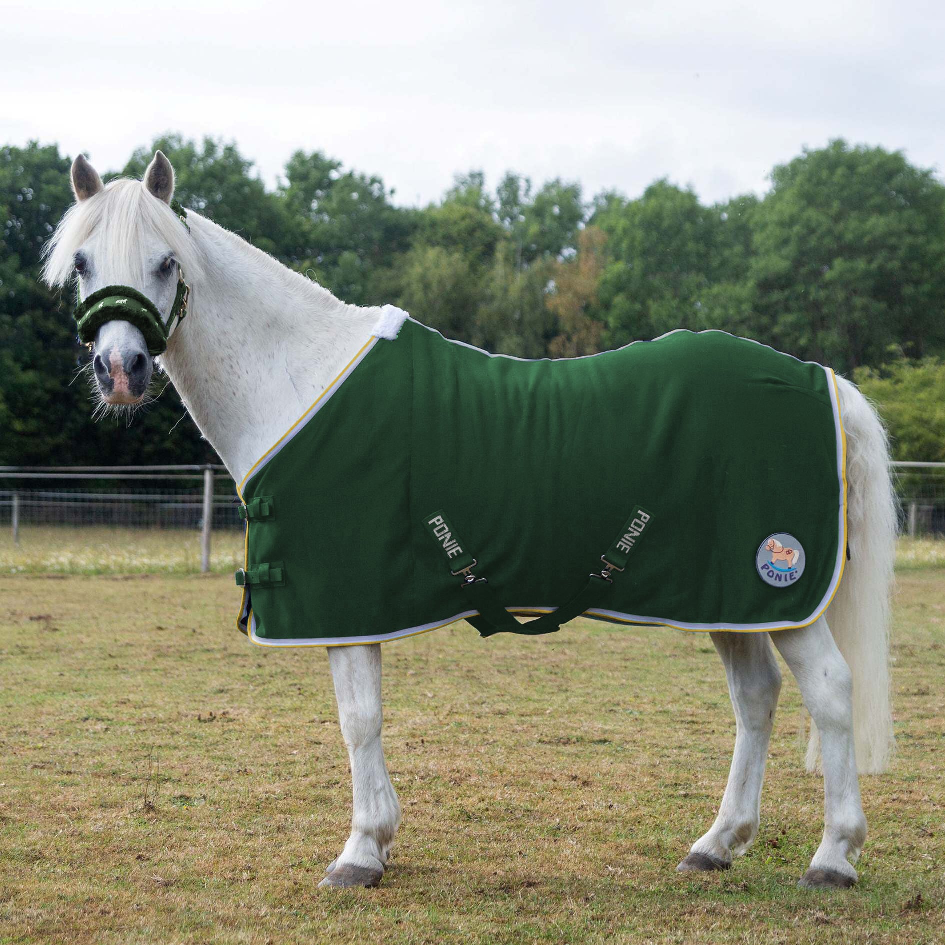 New Ponie 'Tiddlywinks' Jersey Cooler Rug Green