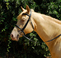 Windsor Leather Bridle With Cavesson Noseband - Shetland