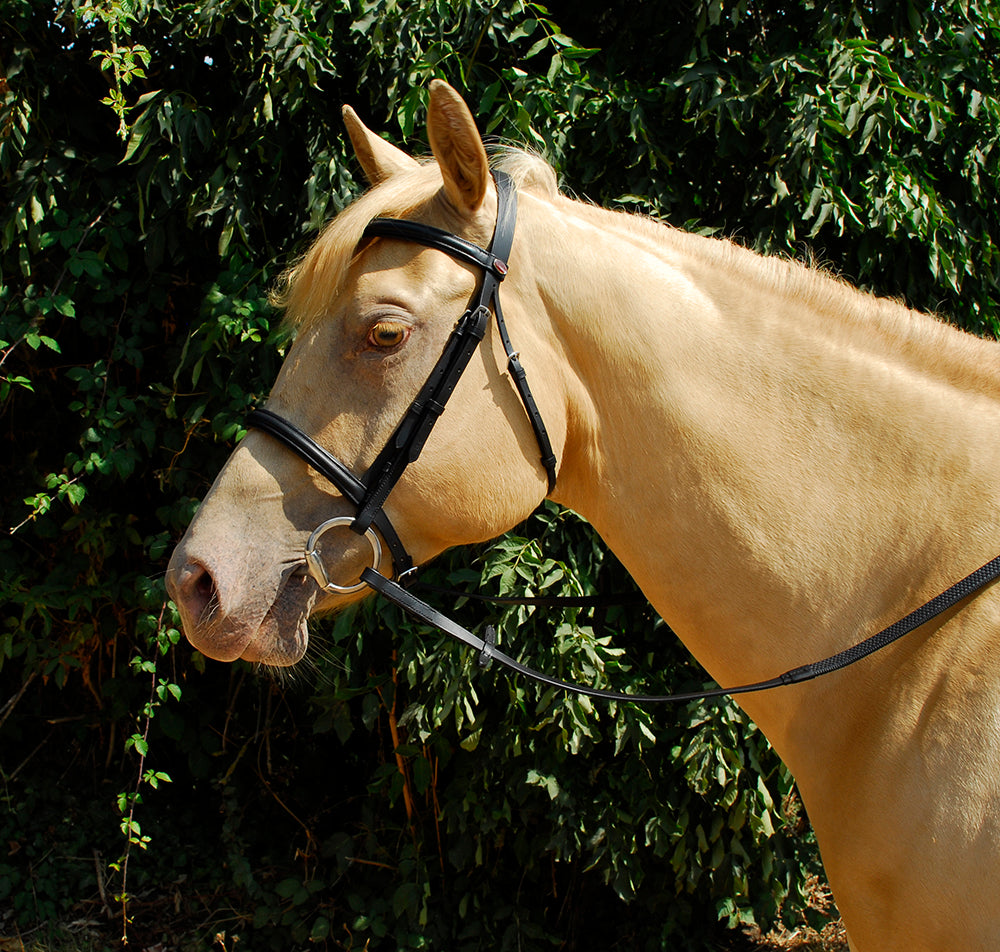 Windsor Leather Bridle With Cavesson Noseband - Shetland