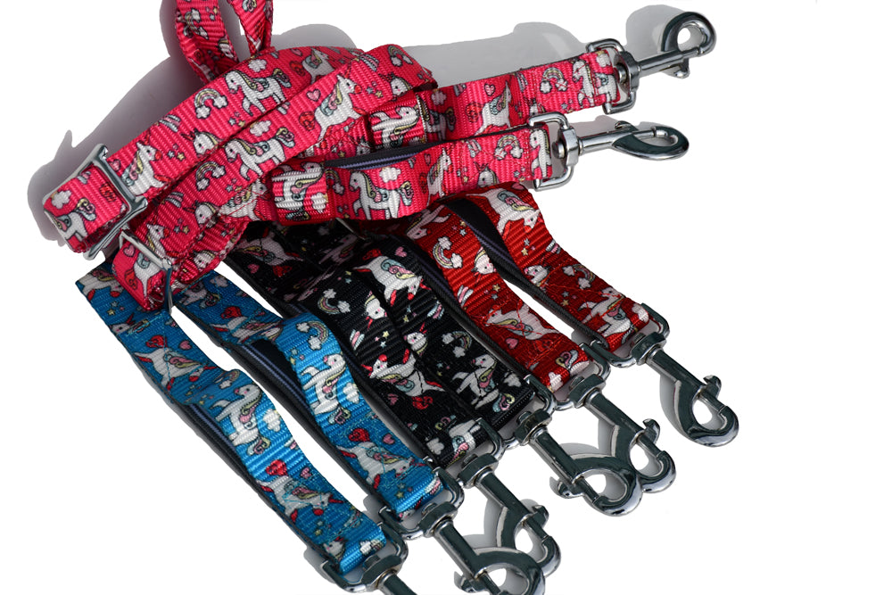 Rhinegold Matching Unicorn Lunge set - Raspberry