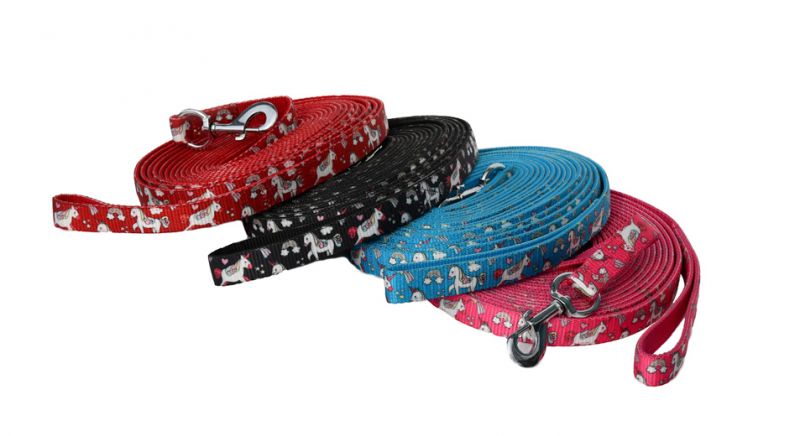 Rhinegold Matching Unicorn Lunge set - Raspberry