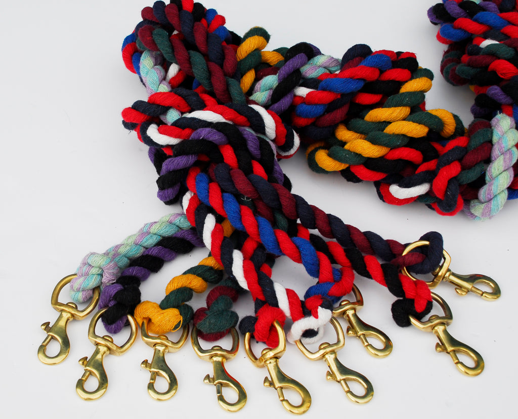 Twin Colour Leadrope