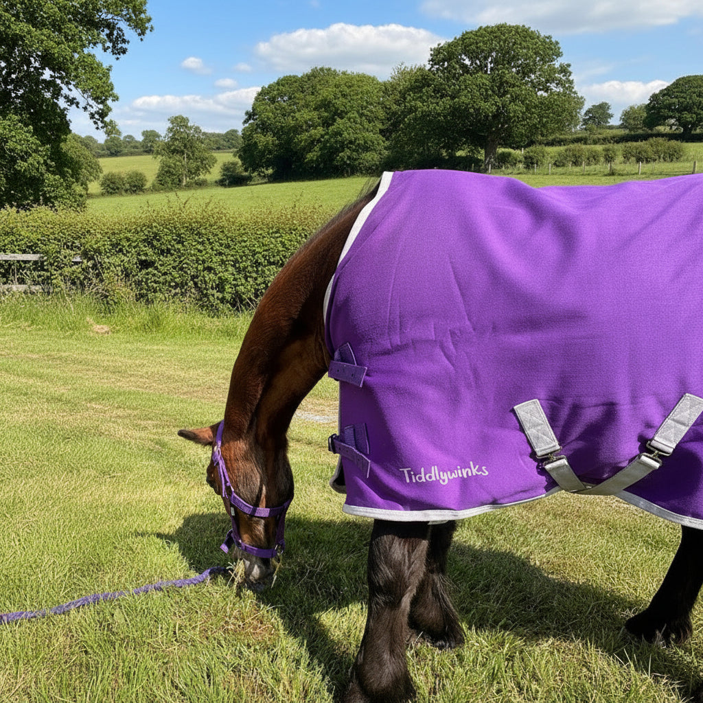New Ponie Jersey Cooler Rug Purple
