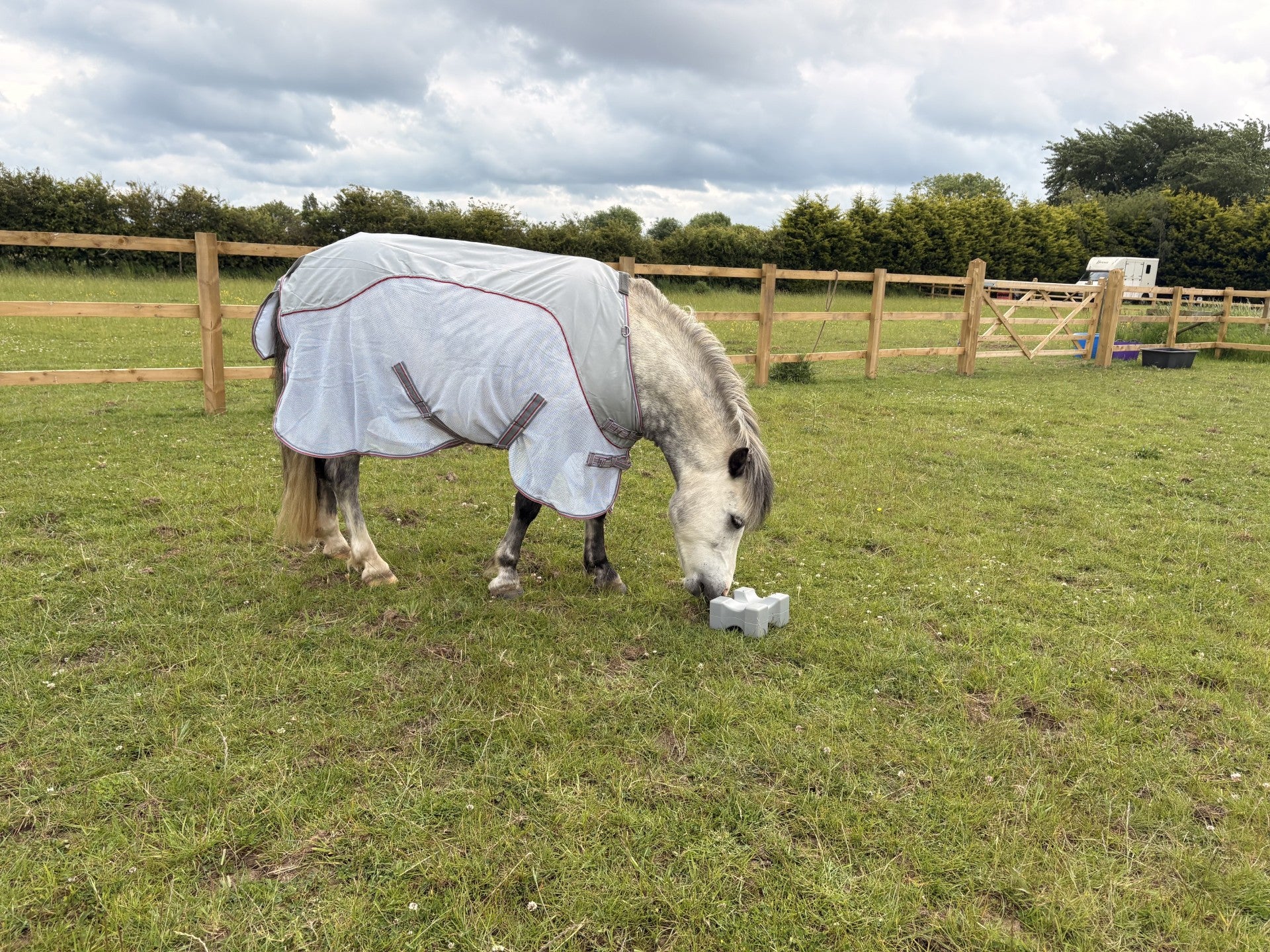 Rhinegold Mombasa Showerproof Topline Fly Rug With Detachable Neck Cover
