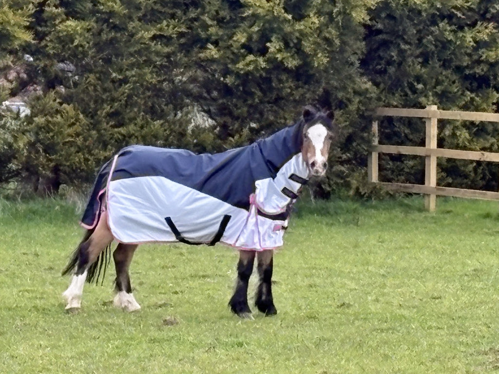 Ponie Hybrid Combo Fly Rug