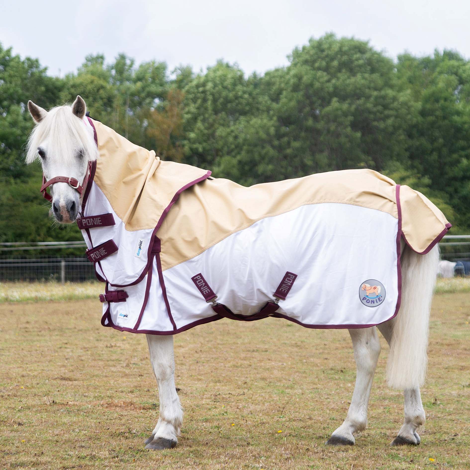Gallop Ponie Dual Neck Hybrid