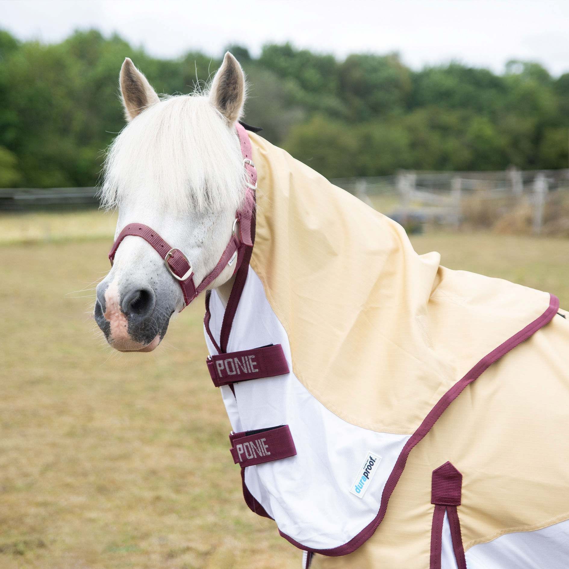 Gallop Ponie Dual Neck Hybrid