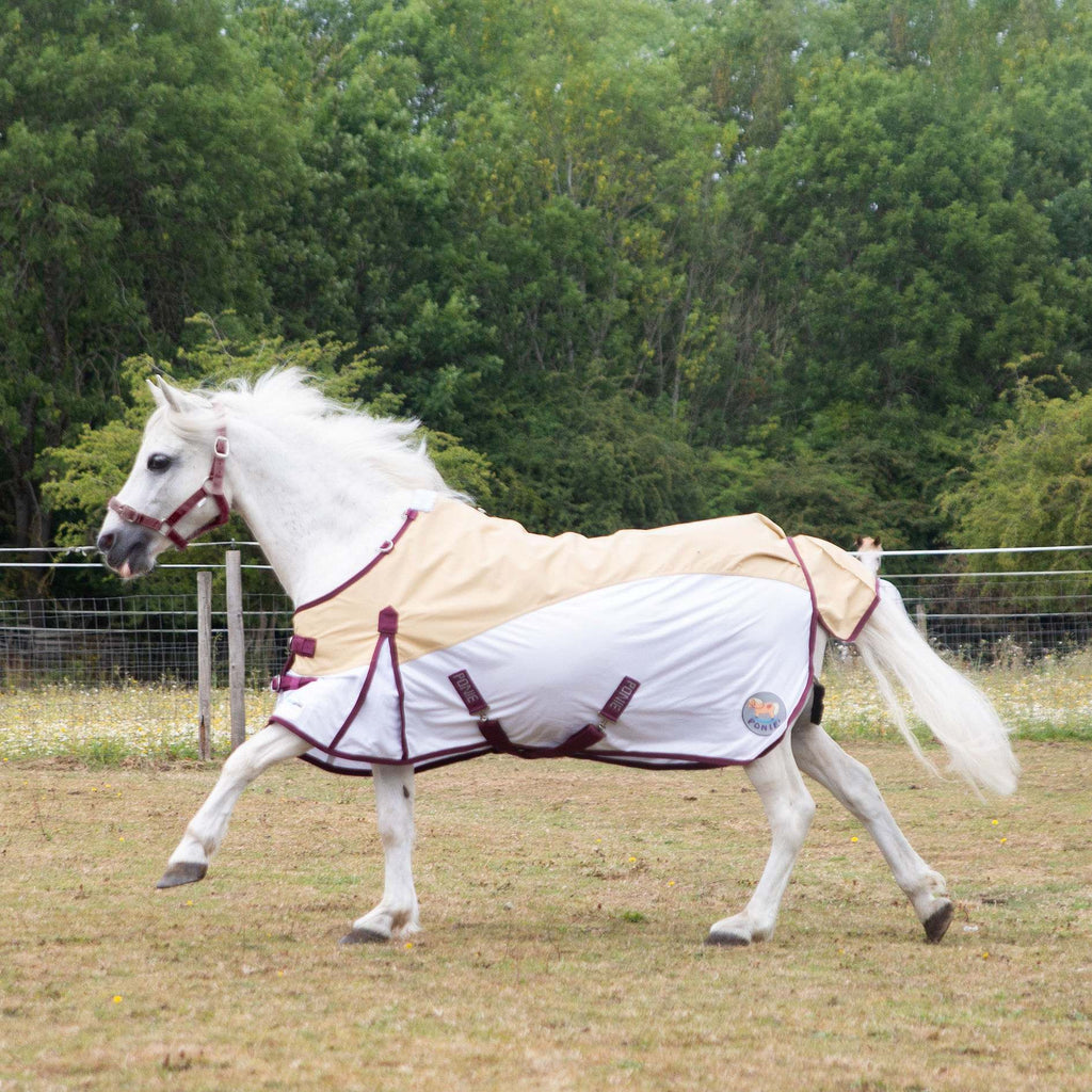 Gallop Ponie Dual Neck Hybrid