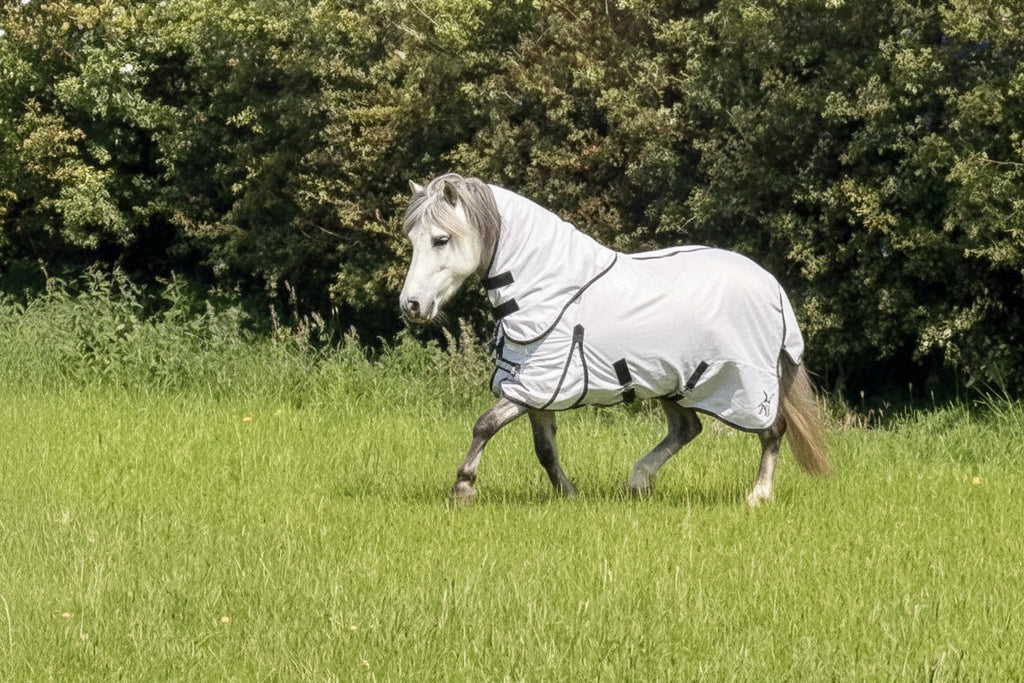 Ponie Dual 5-Point Fly Rug & Neck Set
