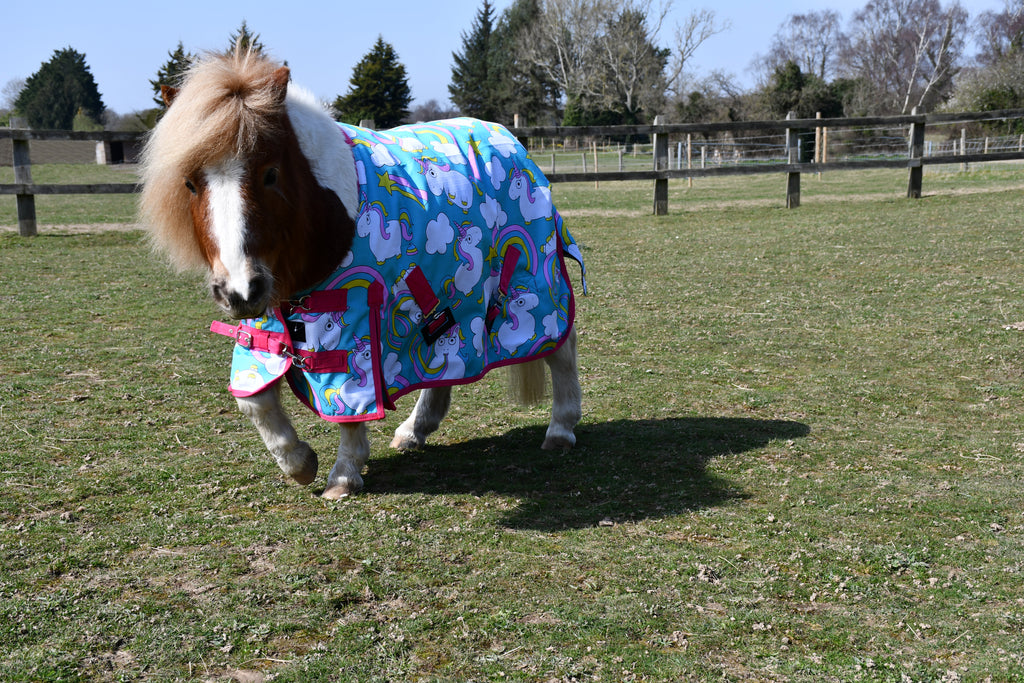 Rhinegold Unicorn Mini Torrent Outdoor Rug