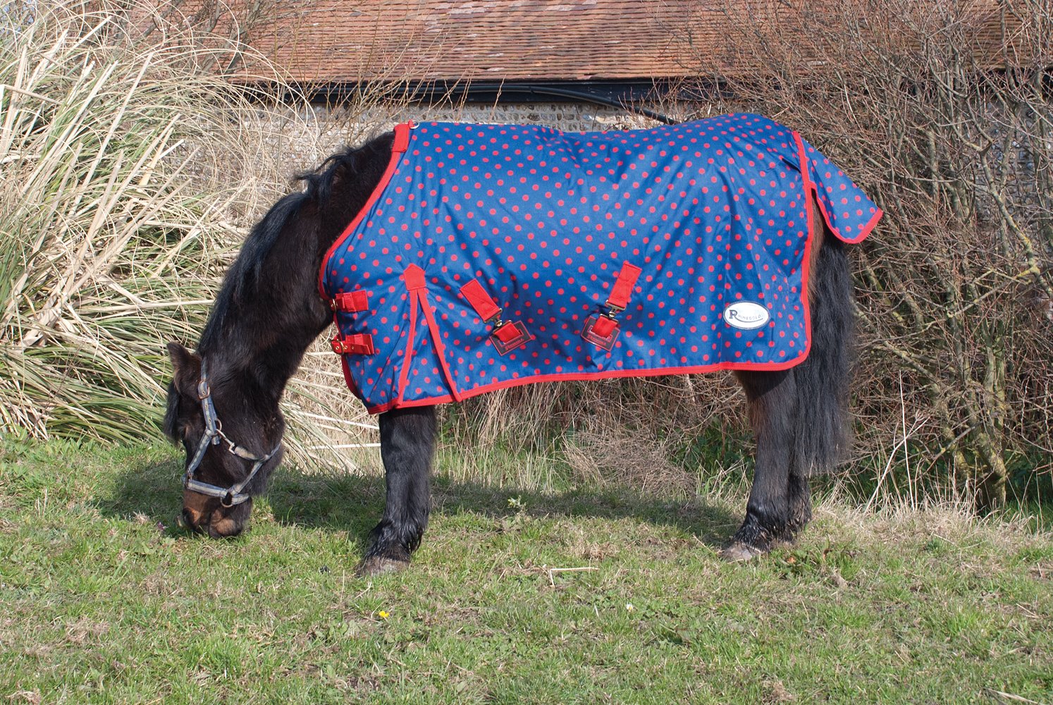 Rhinegold Torrent - Dottie Foal/Mini Outdoor Rug - No Fill
