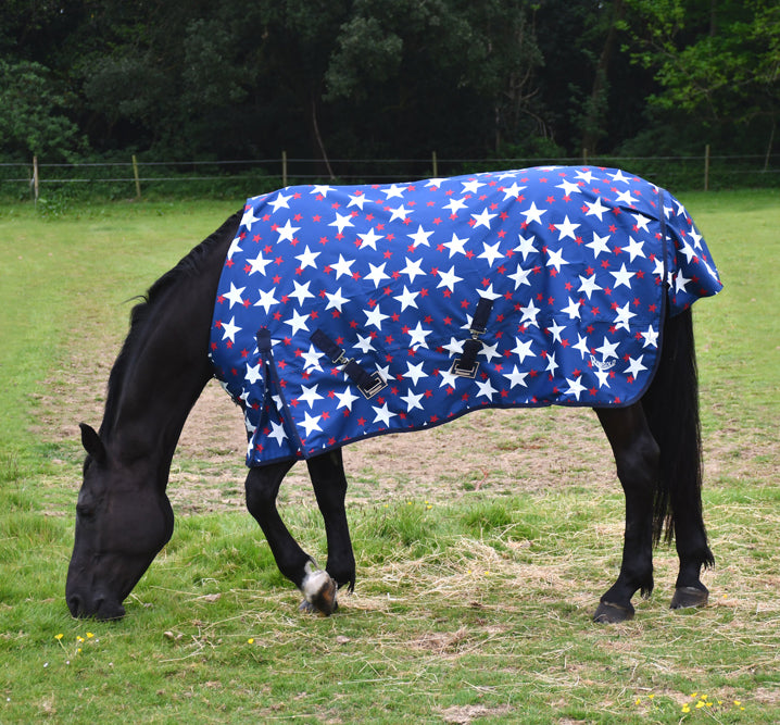 Rhinegold Torrent Star Outdoor Rug - No Fill