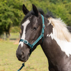 Matching Headcollar & Lead Rope