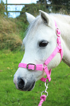 🩷 New Gallop Ponie 'Tiddlywinks' Bundle Standard - Pink Jersey cooler with free matching headcollar and lead rope 🩷