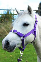 🩷 New Gallop Ponie 'Tiddlywinks' Bundle Standard - Purple Jersey cooler with free matching headcollar and lead rope 🩷