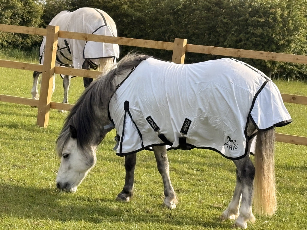 Ponie Dual 5-Point Fly Rug & Neck Set