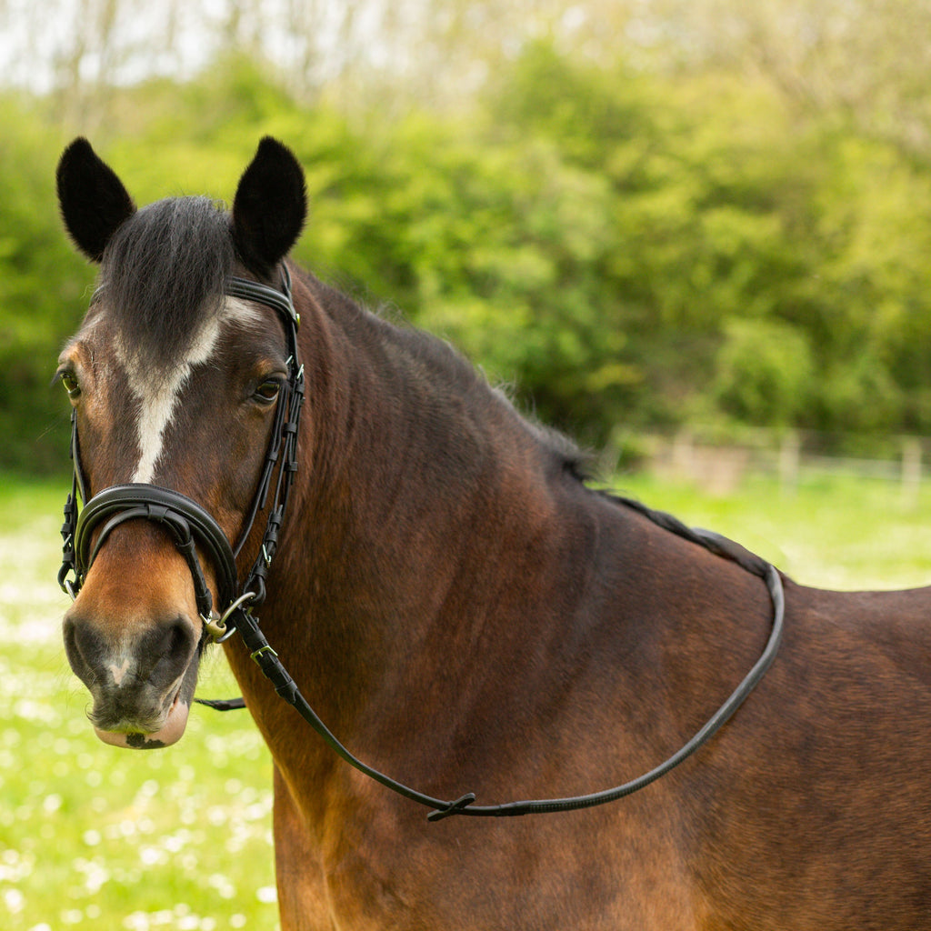 Comfort Bridle + Rubber Reins
