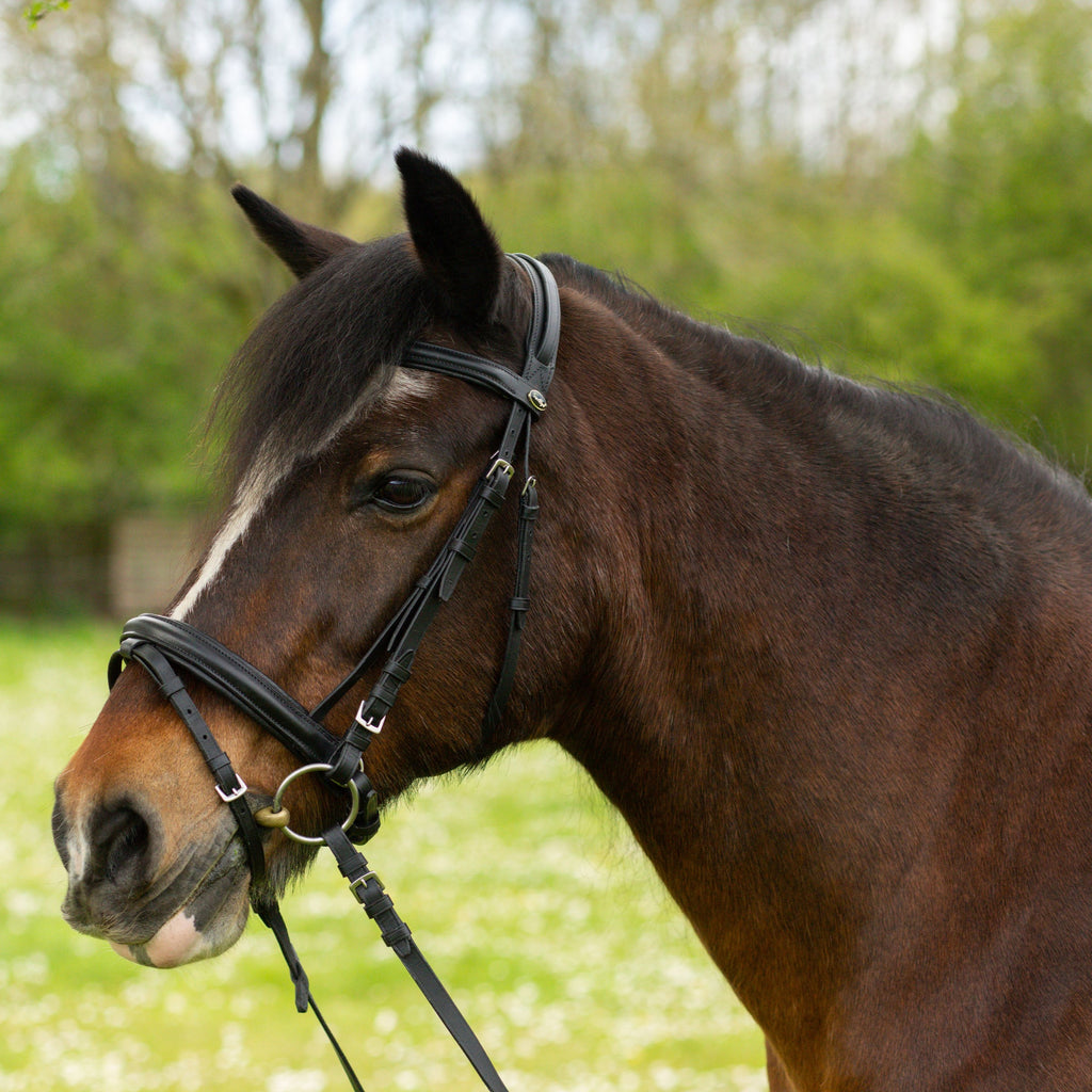 Comfort Bridle + Rubber Reins