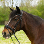 Comfort Bridle + Rubber Reins