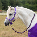 Gallop Premium Padded Headcollar with Matching Leadrope