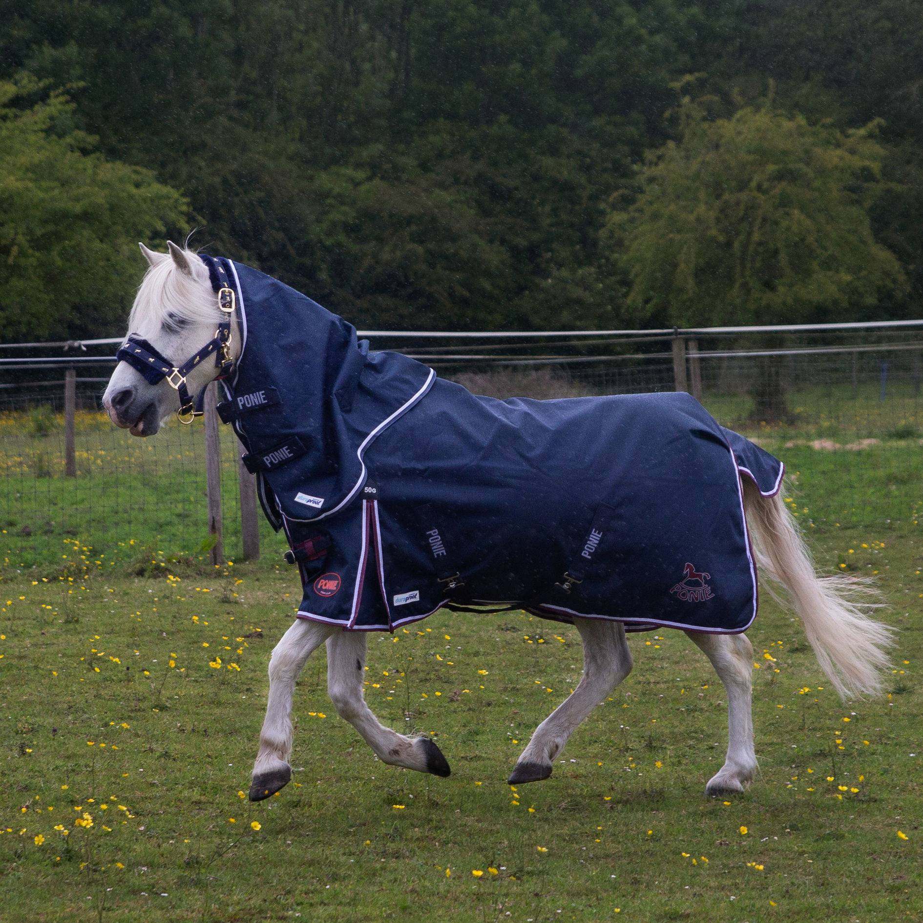 New 600D Ponie 50g Duraproof 5-Point Turnout