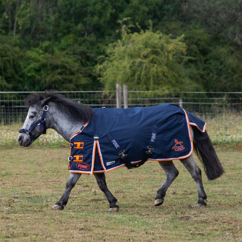 New 600D Ponie 100g Duraproof 5-Point Turnout