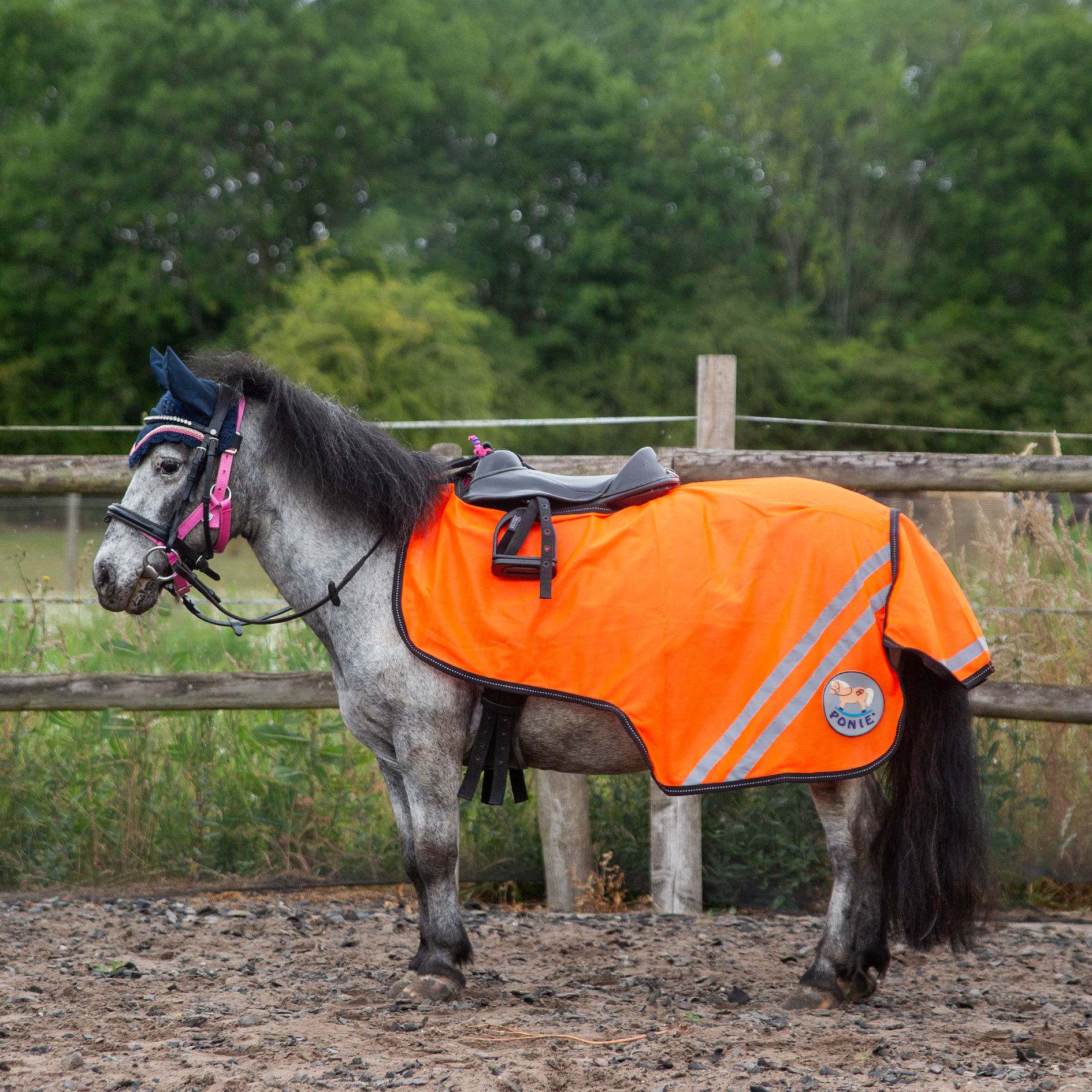New Ponie Retro Reflective Mesh Exercise Sheet