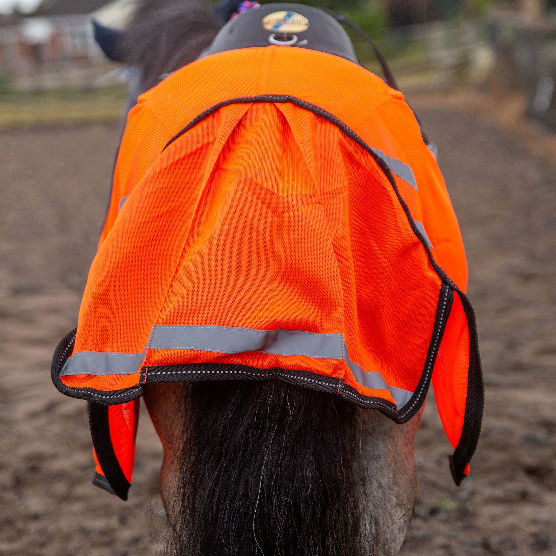 New Ponie Retro Reflective Mesh Exercise Sheet